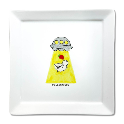 PELLONPEKKO 阪神梅田0211-1