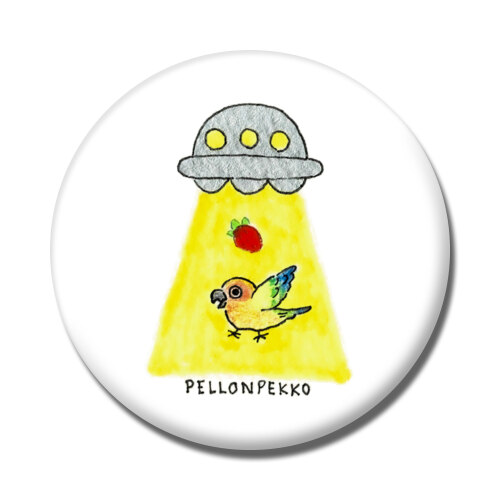 PELLONPEKKO 阪神梅田0212-1