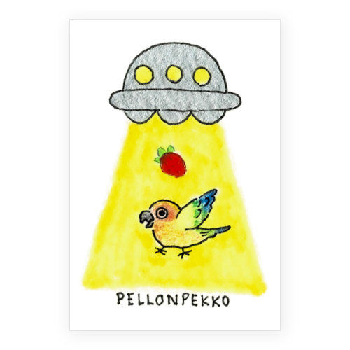 PELLONPEKKO 阪神梅田0212-1