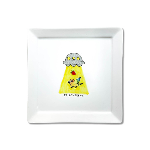 PELLONPEKKO 阪神梅田0212-1