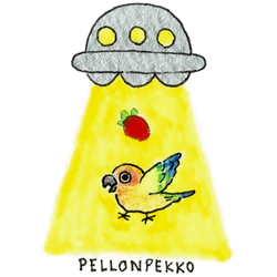 PELLONPEKKO 阪神梅田0212-1