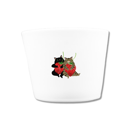 はくたちひろ2024-1