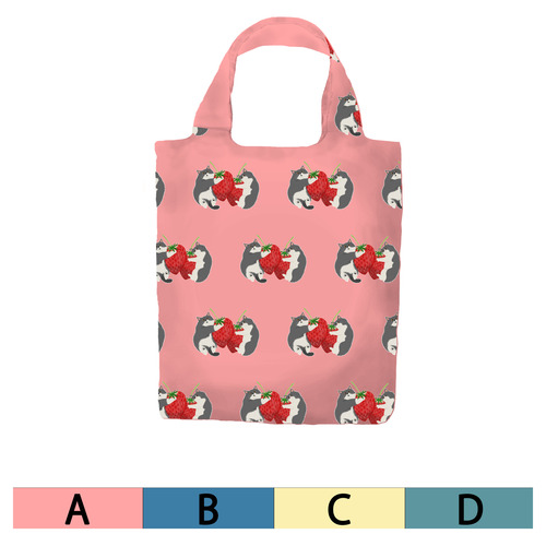 はくたちひろ2024-2