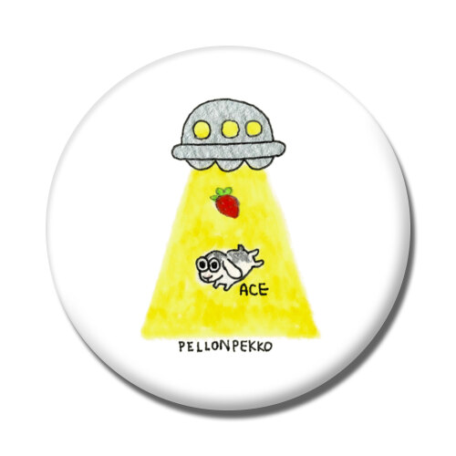 PELLONPEKKO 阪神梅田0212-2