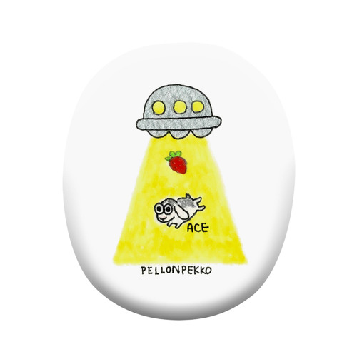 PELLONPEKKO 阪神梅田0212-2