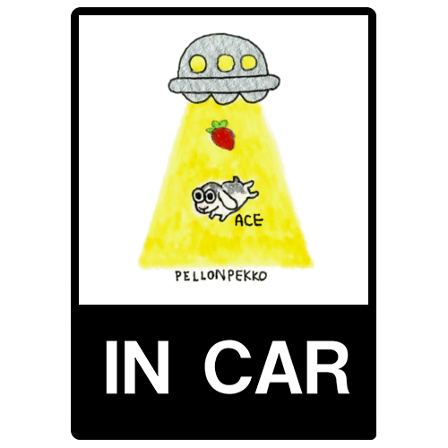 PELLONPEKKO 阪神梅田0212-2