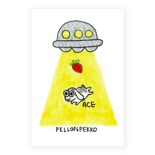 PELLONPEKKO 阪神梅田0212-2