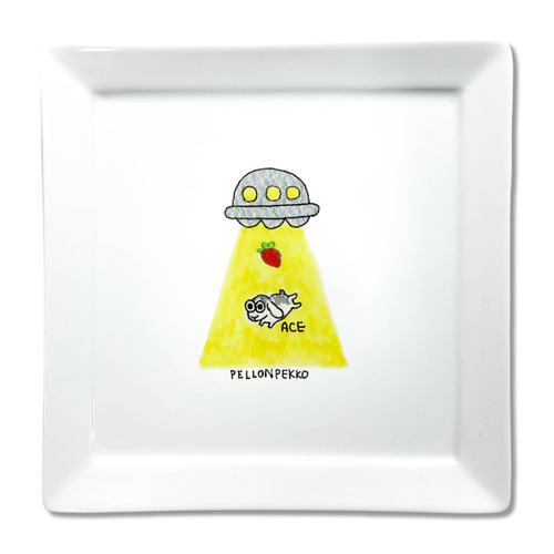 PELLONPEKKO 阪神梅田0212-2