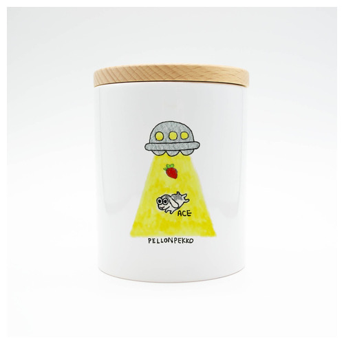 PELLONPEKKO 阪神梅田0212-2