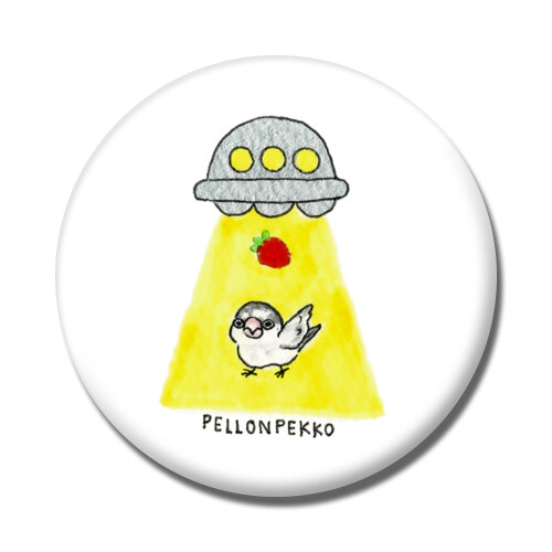 PELLONPEKKO 阪神梅田0213-1