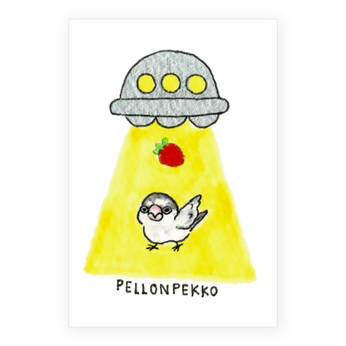 PELLONPEKKO 阪神梅田0213-1