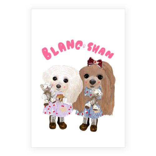 SHAN BLANC