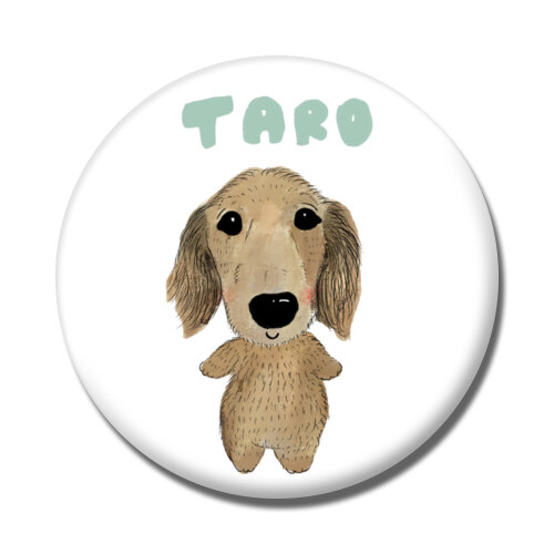 TARO