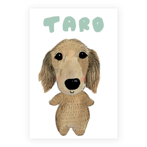 TARO