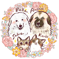 Bella&Austin&Sabre&Kerbl
