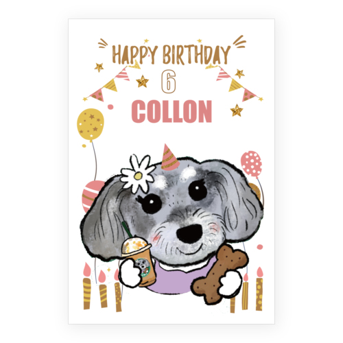 COLLON