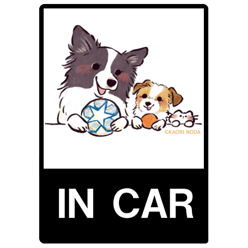 「どこ行く？」