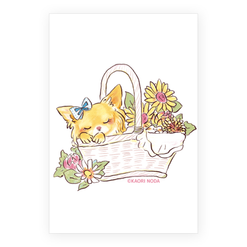 「おきにいり」