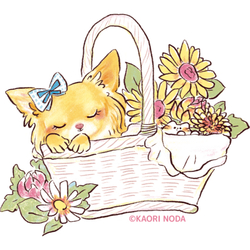 「おきにいり」