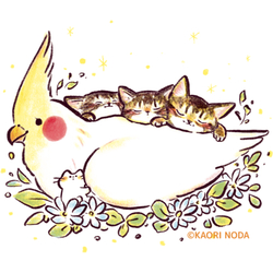 「ココチヨイ」