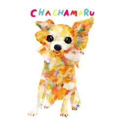 CHACHAMARU