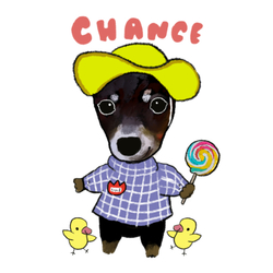 CHANCE