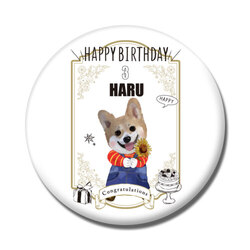 HARU