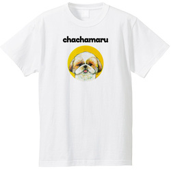 NO.8 chachamaru