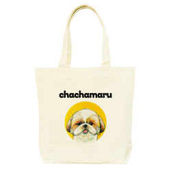 NO.8 chachamaru