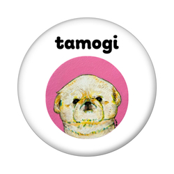 NO.5 tamogi