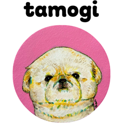 NO.5 tamogi