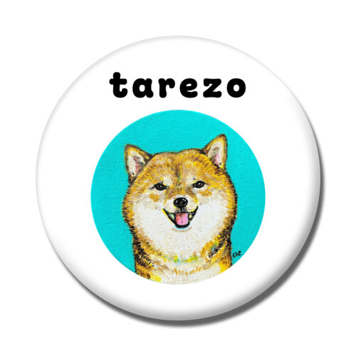 NO.4 tarezo