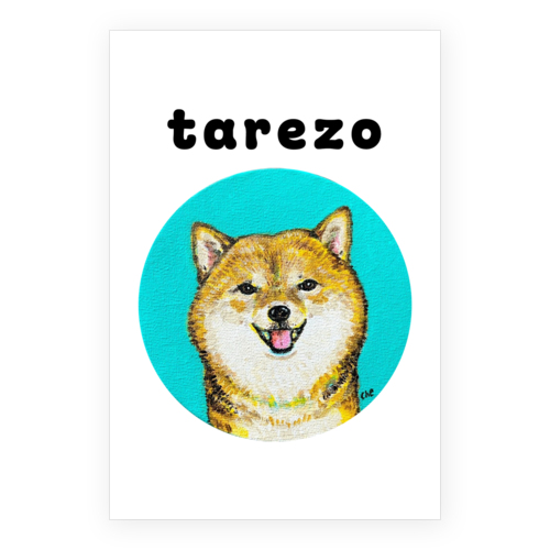 NO.4 tarezo