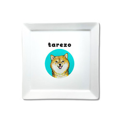 NO.4 tarezo