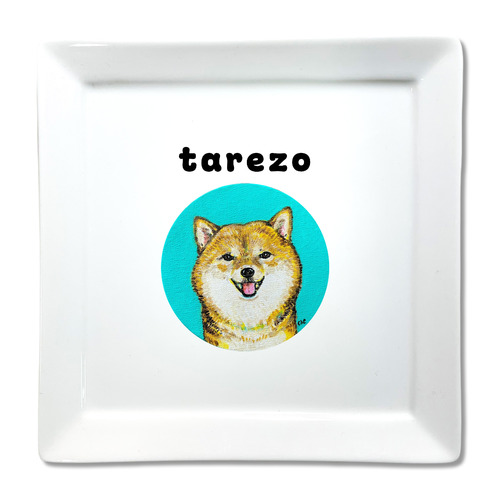 NO.4 tarezo