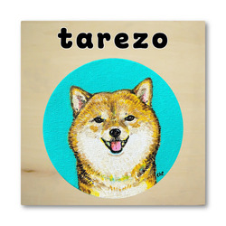 NO.4 tarezo