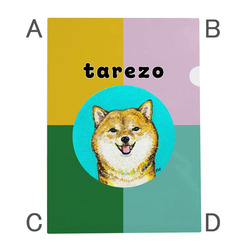 NO.4 tarezo