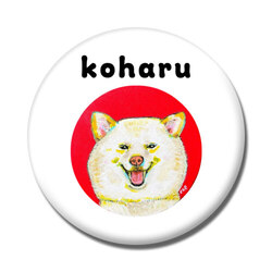 NO.1 koharu