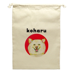 NO.1 koharu