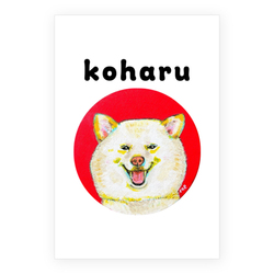 NO.1 koharu