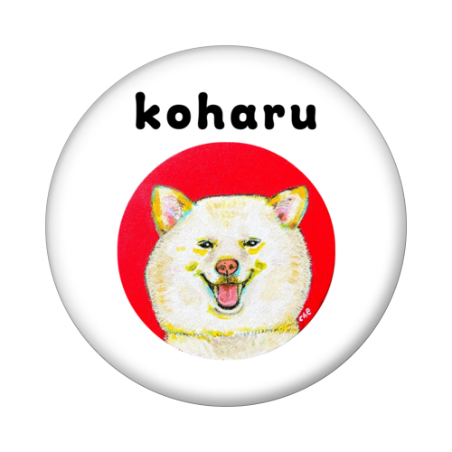 NO.1 koharu