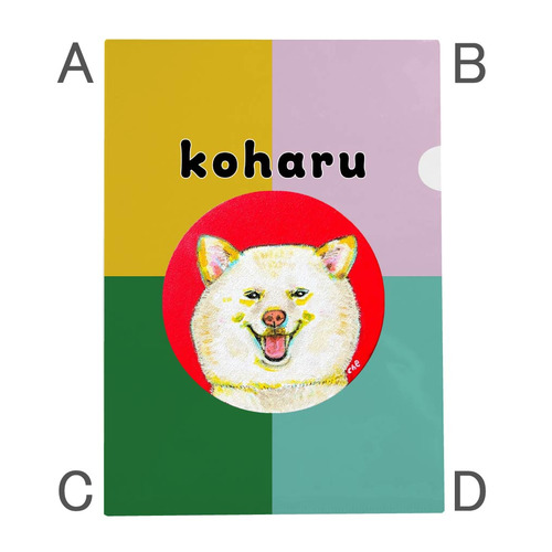 NO.1 koharu