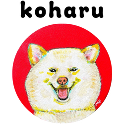 NO.1 koharu