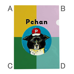 NO.0 Pchan