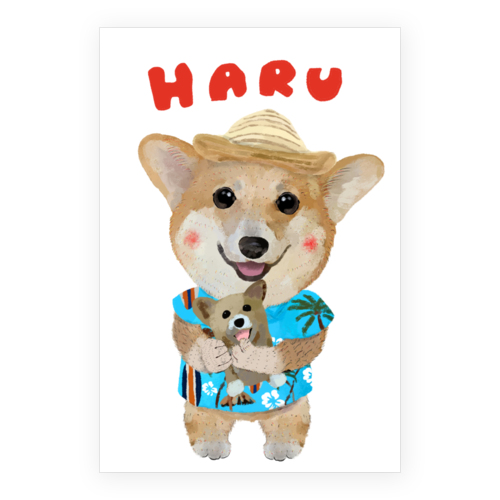 HARU