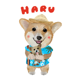 HARU