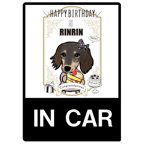 RINRIN