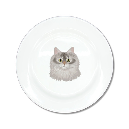 はくたちひろコラボ企画1