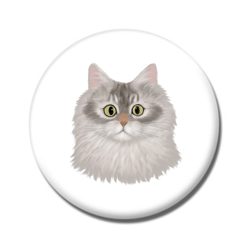 はくたちひろコラボ企画1