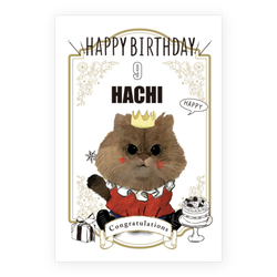 HACHI